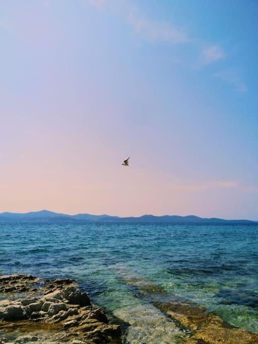 Dalmatia Rustica Comfortable One Bedroom+Fireplace Zadar Buitenkant foto